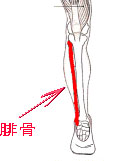 お客様の体験談・実例