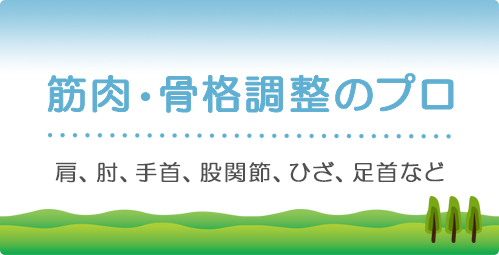 筋肉・骨格調整のプロ 肩、肘、手首、股関節、ひざ、足首など